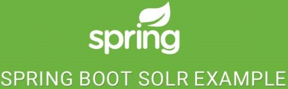 Spring Data Solr CRUD Application 